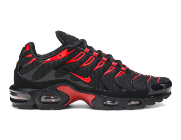 Nike Air Max plus TN "Hates" sneakers